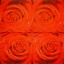 029 Rosen - 3-lagig (blau)